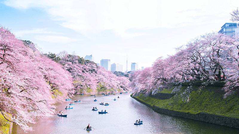 中非跨境电子商务平台上线促进**贸易