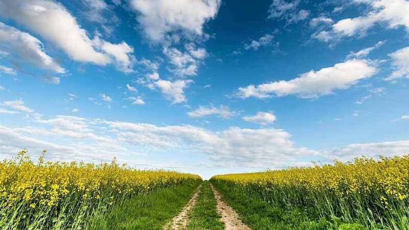 【跨境电子商务】跨境农村电子商务介绍